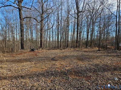 /international/us/1-acre-st-james-road-jetersville-va-110101396616/