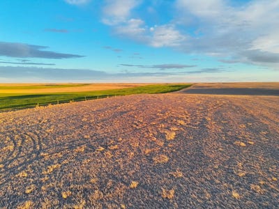 /international/us/road-14s-bushnell-ne-110107966030/