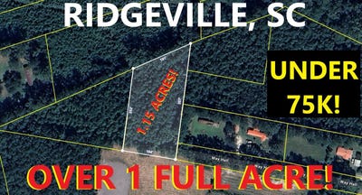 /international/us/way-hall-lane-ridgeville-sc-110107869607/