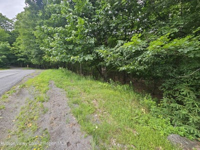 /international/us/49-eagles-nest-road-jewett-ny-110097935970/?lang=zh-cn