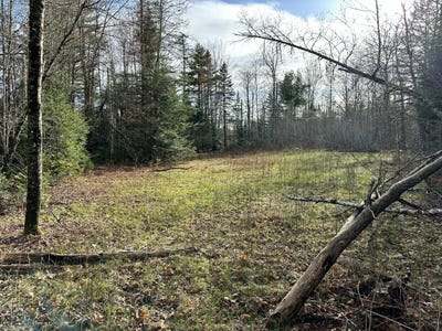 /international/us/map-8-lot-12-crane-bridge-road-monroe-me-110108682742/