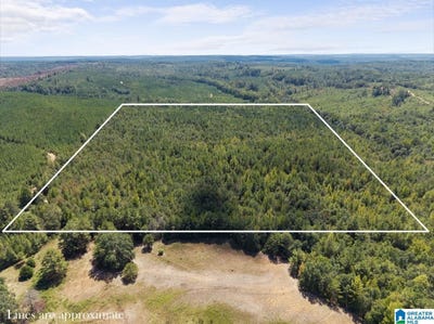 /international/us/county-road-750-lot-1-plantersville-al-110110364058/