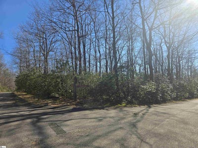 /international/us/birchbend-cleveland-sc-110105383024/