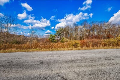 /international/us/007-oak-crest-drive-jenner-twp-pa-110104417780/