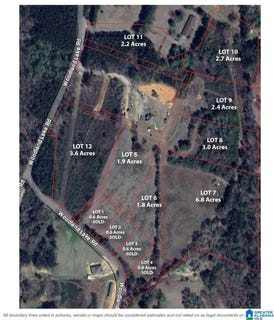 /international/us/12799-woodland-lake-road-mccalla-al-110101065759/