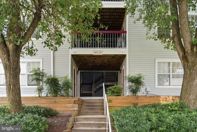 /international/us/18529-boysenberry-montgomery-village-md-110119930505/
