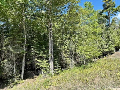/international/us/tbd-hemlock-views-manistique-mi-110094543453/?lang=zh-tw