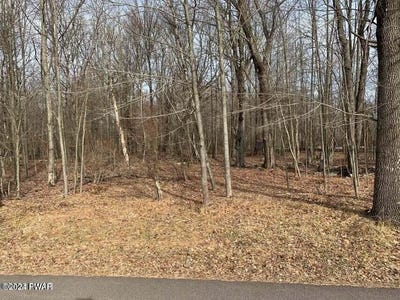 /international/us/lot-260-reid-road-lake-ariel-pa-110096530088/