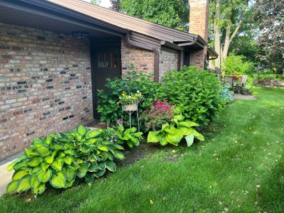 /international/us/1185-weston-plymouth-mn-110109976773/