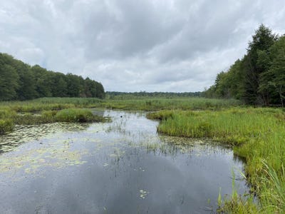 /international/us/fisherman-s-bridge-road-williamstown-ny-110102101628/
