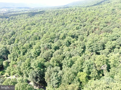 /international/us/5-5-acres-mountain-green-road-willow-hill-pa-110100255188/?lang=zh-tw