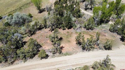 /international/us/25471-road-t-dolores-co-110107892254/