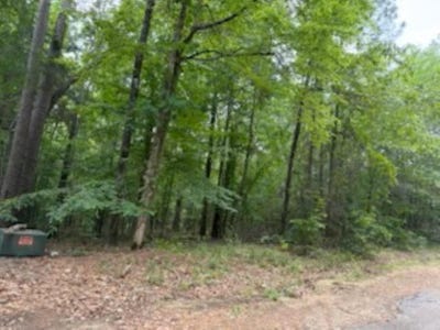 /international/us/pin-oak-lot-146-camden-ar-110107696939/