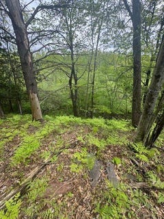 /international/us/1750-maple-point-road-beaverton-mi-110100316997/?lang=zh-tw