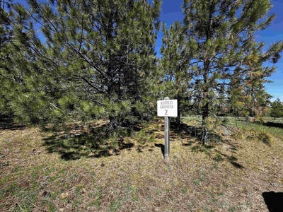 /international/us/34820-partridge-ln-n-davenport-wa-110107487729/