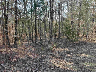/international/us/9999-riverfront-drive-mount-ida-ar-110106147748/