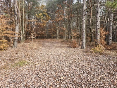 /international/us/vl-5-acres-9-mile-road-kaleva-mi-110107965899/