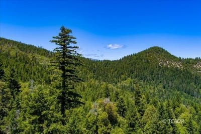 /international/us/forest-rte-4n20-hyampom-ca-110108489254/