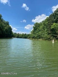 /international/us/lot-8-pleasure-road-sevierville-tn-110101233938/