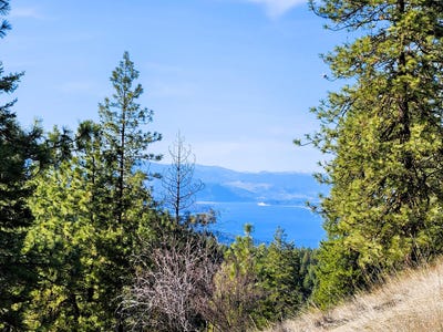 /international/us/4021-bissell-rd-hunters-wa-110098583917/?lang=en