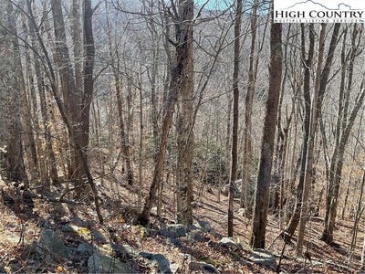 /international/us/104-wintercrest-lane-beech-mountain-nc-110104970979/