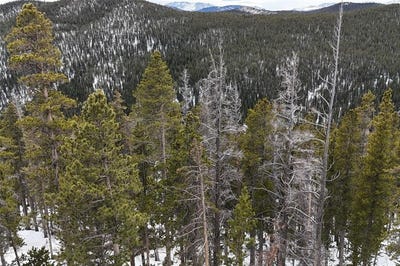 /international/us/156-vista-road-lot-38-idaho-springs-co-110108988559/