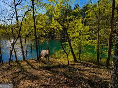 /international/us/418-sue-craig-road-six-mile-sc-110108627814/