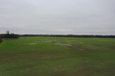/international/us/2000-walnut-lake-road-dundee-ms-110104023037/
