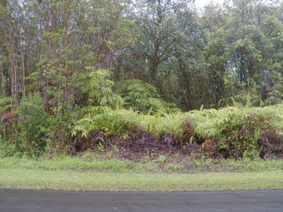/international/us/pikake-st-mountain-view-hi-110101056853/?lang=zh-tw