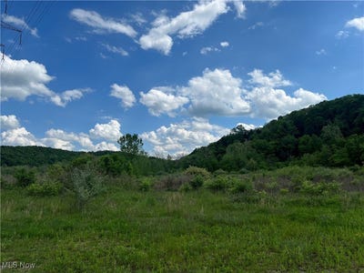 /international/us/9405-jackman-road-negley-oh-110099582146/?lang=zh-tw