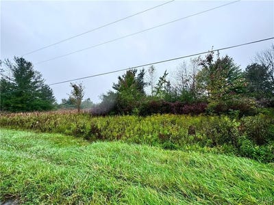 /international/us/0-state-route-26-westmoreland-ny-110099931713/?lang=zh-tw