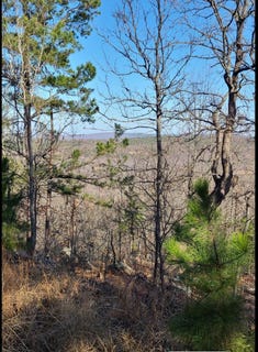 /international/us/0-true-grit-trail-pittsburg-ok-110107286950/