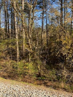 /international/us/n-hwy-411-crandall-ga-110103509526/