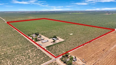 /international/us/11388-s-chateau-fresno-avenue-caruthers-ca-110108580546/