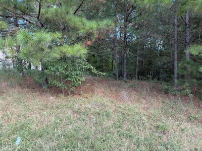 /international/us/1003-n-75th-paragould-ar-110120020366/