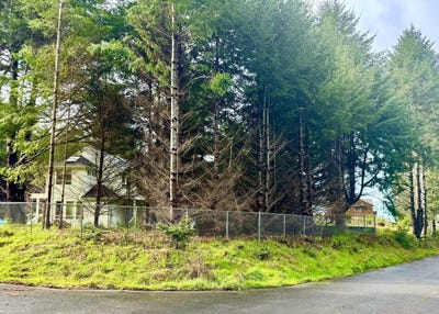/international/us/416-ridge-road-shelter-cove-ca-110102825048/