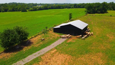 /international/us/999-silas-road-cynthiana-ky-110101093456/