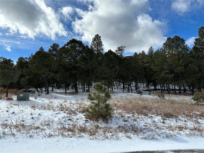 /international/us/3-colibri-court-pecos-nm-110081646874/
