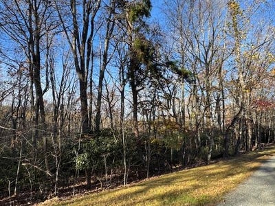 /international/us/crooked-white-oak-tr-lot-55-26-27-28-hillsville-va-110103959644/