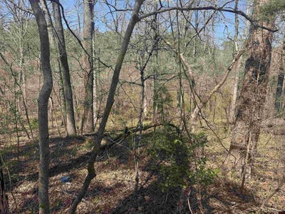 /international/us/009-00062-000-hwy-177-salesville-ar-110107656502/