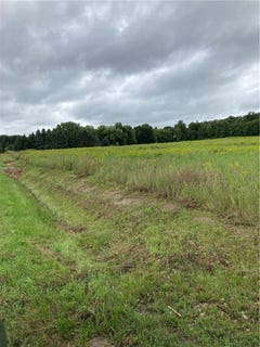 /international/us/9027-schuster-road-dansville-ny-110120029408/