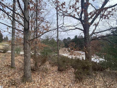 /international/us/lot-38-kirkridge-drive-williamsburg-mi-110096899086/?lang=en
