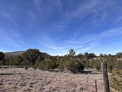 /international/us/lot-17-horse-peek-ranches-datil-nm-110104291993/