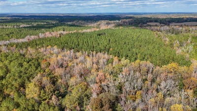 /international/us/407-county-road-258-five-points-al-110103480576/
