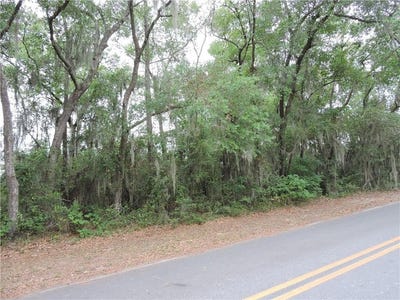 /international/us/10062-wayne-street-darien-ga-110107988193/