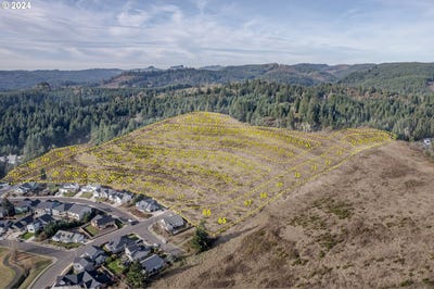 /international/us/2003290000206-cottage-grove-or-110099397581/
