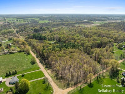 /international/us/vl-n-pease-road-vermontville-mi-110107570817/