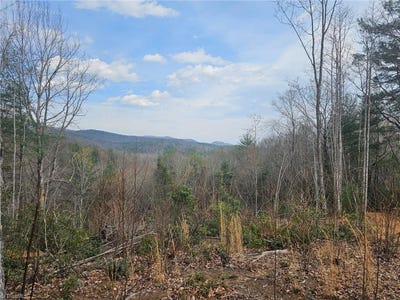 /international/us/widow-mountain-drive-lot-2-mcgrady-nc-110106678855/