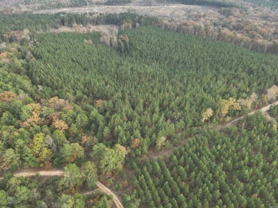 /international/us/24-11-19-ouachita-cr-75-chidester-ar-110107506068/