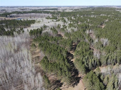 /international/us/tbd-280ac-maple-grove-road-cloquet-mn-110108149908/
